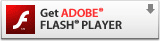 flash player_E[h